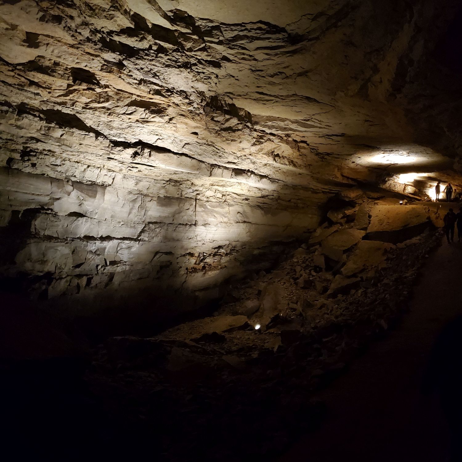 Mammouth Cave Cleaveland Avenue Tour 